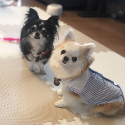 ゆめ なつ