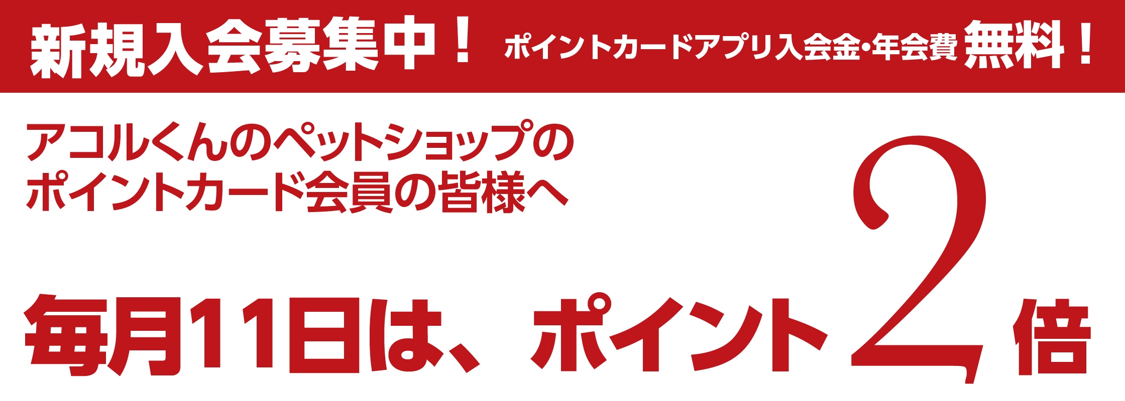 毎日11日は、ポイント2倍！