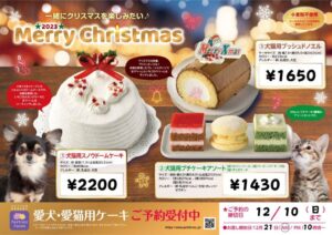 クリスマスケーキ予約開始