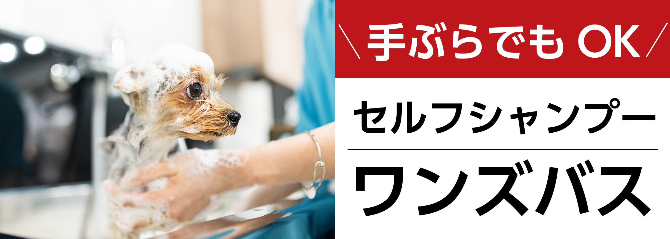 セルフシャンプー「ワンズバス」