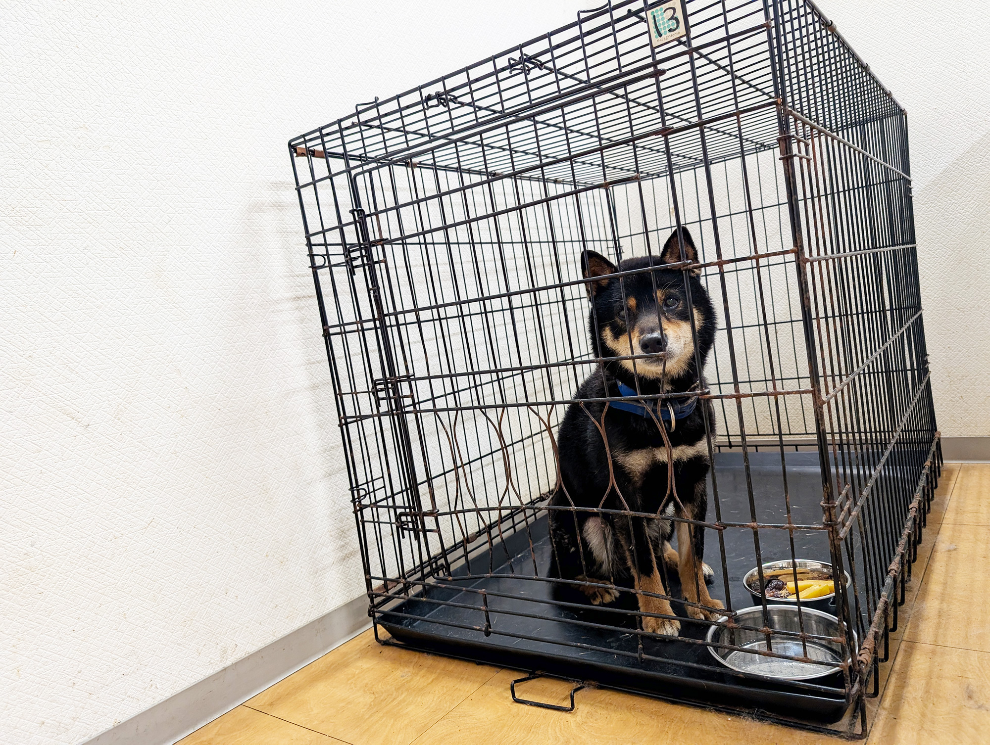 大型ゲージ